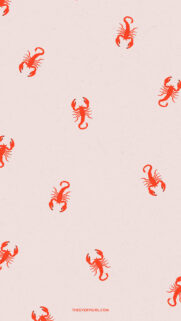 Minimalist Scorpio Zodiac Sign Aesthetic Red Scorpion Pattern Wallpaper