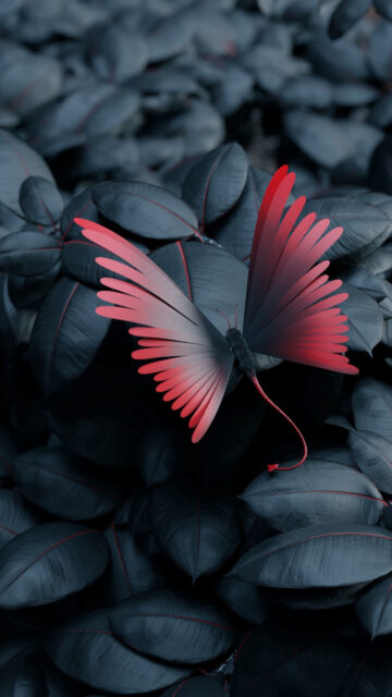 Surreal Red Winged Creature Butterfly Art Mobile Wallpaper