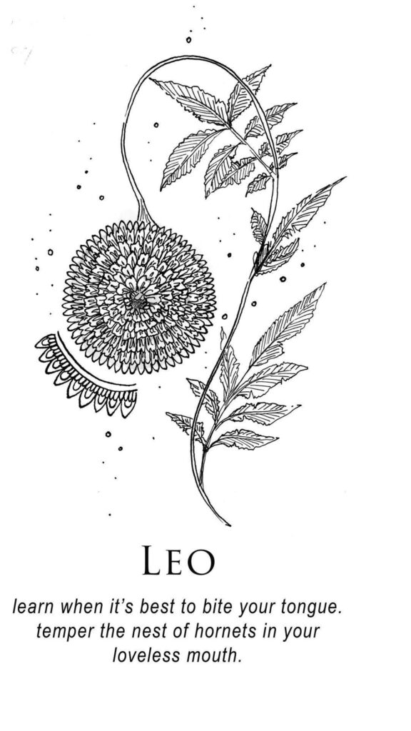 Leo Zodiac Aesthetic Minimalist Botanical Illustration Wallpaper