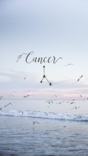 Cancer Zodiac Sign Aesthetic Water Constellation Phone Wallpaper
