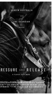 Pressure and Release Horse Cinematic Still Mobile Wallpaper
