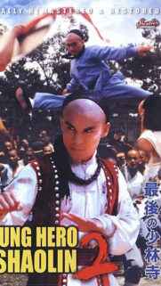 Young Hero Shaolin 2 Kung Fu Action Mobile Wallpaper