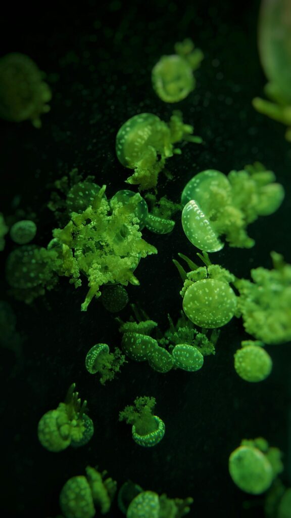 Bioluminescent Green Spotted Jellyfish Underwater Macro Phone Wallpaper