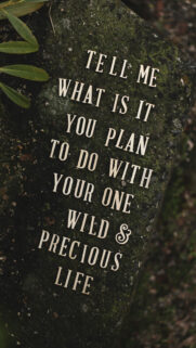 Tell Me What Is It You Plan To Do With Your One Wild and Precious Life Vision Board Wallpaper
