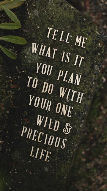 Tell Me What Is It You Plan To Do With Your One Wild and Precious Life Vision Board Wallpaper