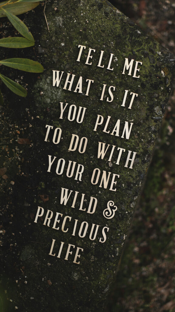 Tell Me What Is It You Plan To Do With Your One Wild and Precious Life Vision Board Wallpaper