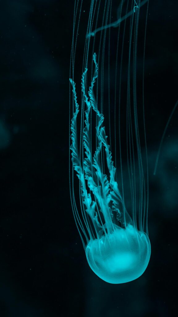 Glowing Neon Blue Jellyfish in Dark Deep Sea Mobile Wallpaper