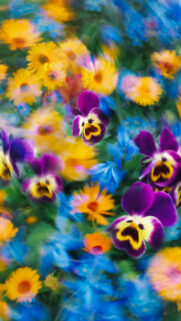 Abundance Manifestation Vision Board Spring Garden Floral Wallpaper