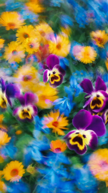 Abundance Manifestation Vision Board Spring Garden Floral Wallpaper