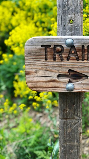 Rustic Wooden Trail Sign with Yellow Spring Flowers Mobile Wallpaper