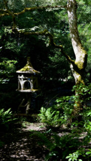 Zen Garden Meditation Sanctuary for Mindful Energy Manifestation Wallpaper