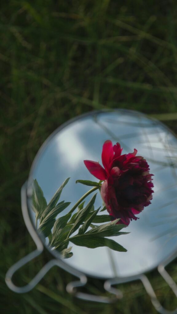 Stunning Red Peony Flower Reflected in Mirror Mobile Wallpaper