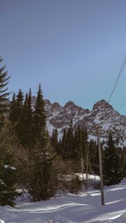 Snowy Alpine Mountain Peaks and Coniferous Forest Mobile Wallpaper