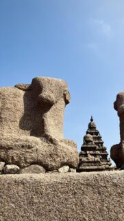 Ancient Mahabalipuram Shore Temple Stone Bull Mobile Wallpaper