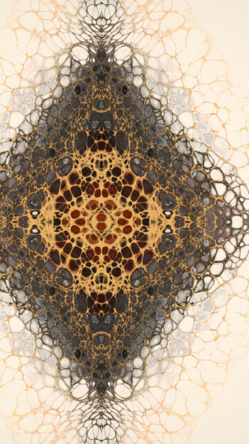 Sacred Geometry Fractal Mandala for Spiritual Alignment Wallpaper