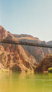 Grand Canyon Mule Train Bridge Scenic Adventure Phone Wallpaper