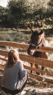 Girl Crouching by Wooden Fence with Brown Horse Mobile Wallpaper