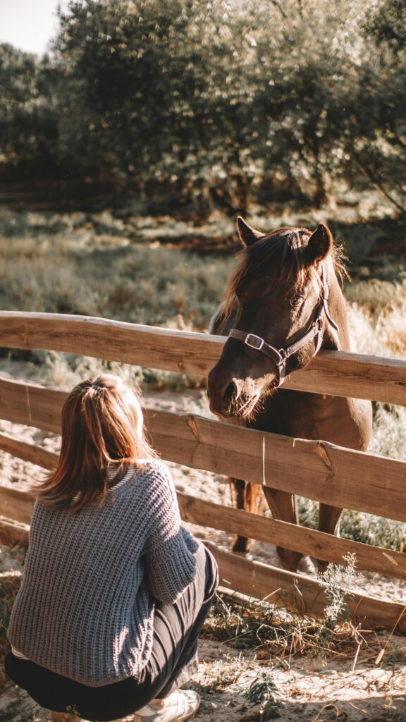 Girl Crouching by Wooden Fence with Brown Horse Mobile Wallpaper