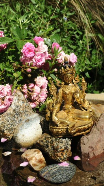 Golden Tara Spiritual Energy Meditation and Inner Peace Zen Wallpaper