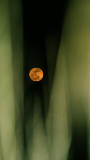 Mystical Golden Full Moon Spiritual Energy Aesthetic Wallpaper
