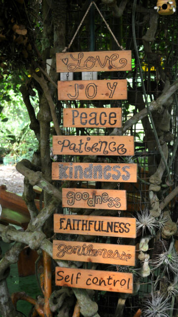 Fruit of the Spirit Manifestation and Positive Affirmation Wallpaper