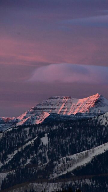 Stunning Pink Alpenglow on Snowy Mountain Peak Phone Wallpaper