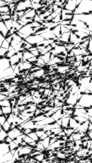 Abstract Monochrome Chaotic Lines Artistic Texture Mobile Wallpaper