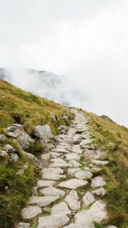 Stone Mountain Path Leading into Misty Peaks Mobile Wallpaper
