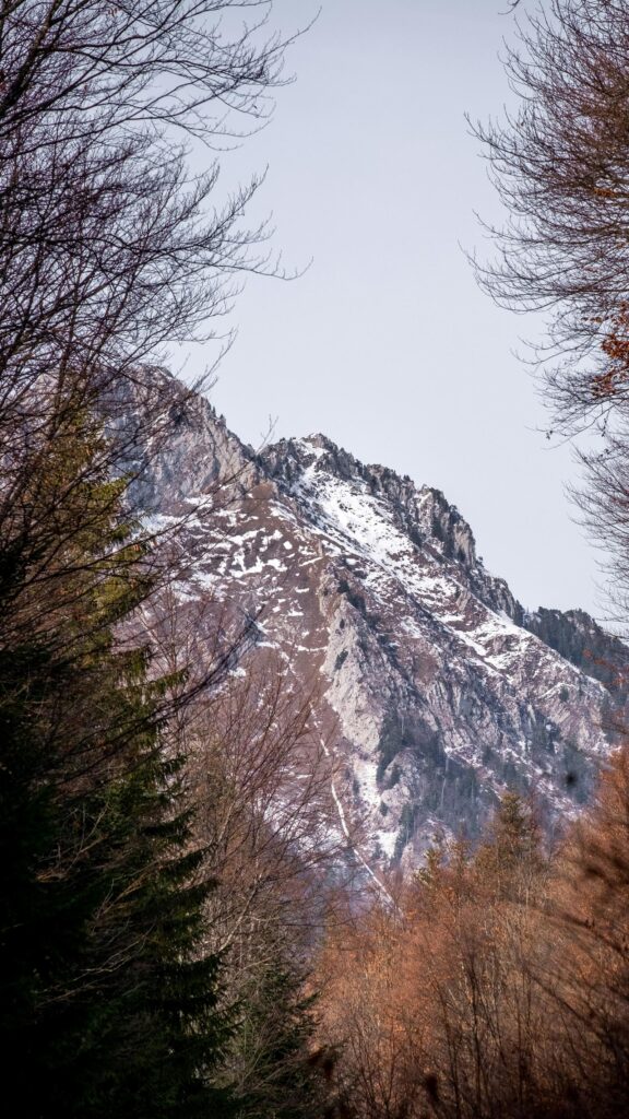 Next