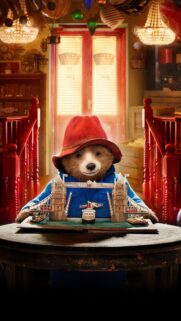 Paddington Bear Aesthetic Wallpaper for Mobile – High Quality HD Background