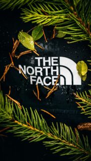 The North Face Nature Aesthetic Mobile Wallpaper
