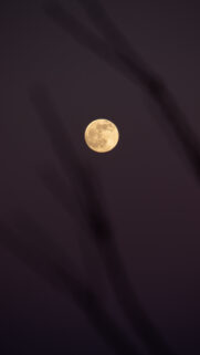 Luminous Full Moon Energy Spiritual Aesthetic Phone Wallpaper