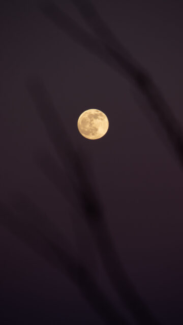Luminous Full Moon Energy Spiritual Aesthetic Phone Wallpaper