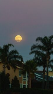Cancer Zodiac Moon Phase Energy and Celestial Astrology Wallpaper