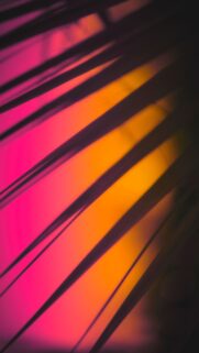Vibrant Aura Gradient Energy Aesthetic Spiritual iPhone Wallpaper