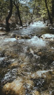 Pisces Ethereal Flow: Mystical Water Zodiac Aesthetic Wallpaper