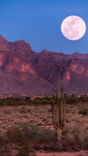 Full Moon Lunar Energy Spiritual Desert Landscape Phone Wallpaper