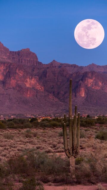 Full Moon Lunar Energy Spiritual Desert Landscape Phone Wallpaper