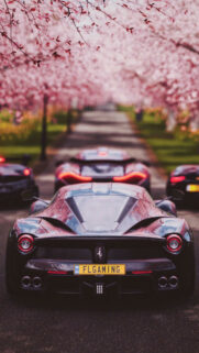 Ferrari and McLaren Hypercars Spring Road Mobile Wallpaper