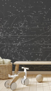 Celestial Star Map Constellation and Zodiac Astrology Background Wallpaper