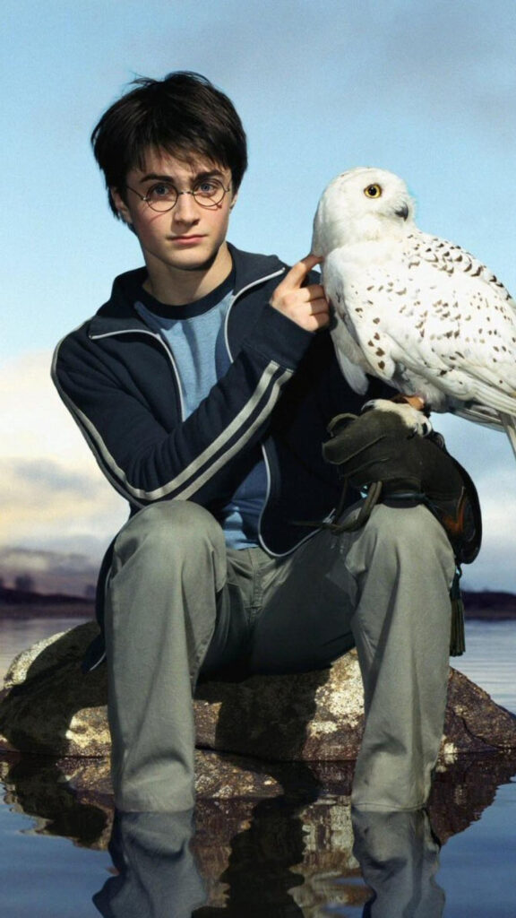Harry Potter and Hedwig Portrait Mobile Wallpaper