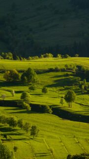 Taurus Earth Energy Sunlit Pastoral Landscape Zodiac Wallpaper