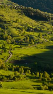 Taurus Earth Energy Serene Nature Landscape Zodiac Wallpaper