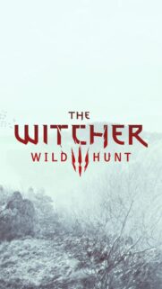 The Witcher 3 Geralt of Rivia High Quality Gaming Mobile Wallpaper | Bestwallpapers.net