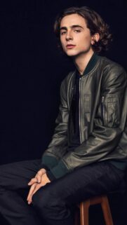 Timothée Chalamet 4K Mobile Wallpaper | Premium Aesthetic Portrait Background