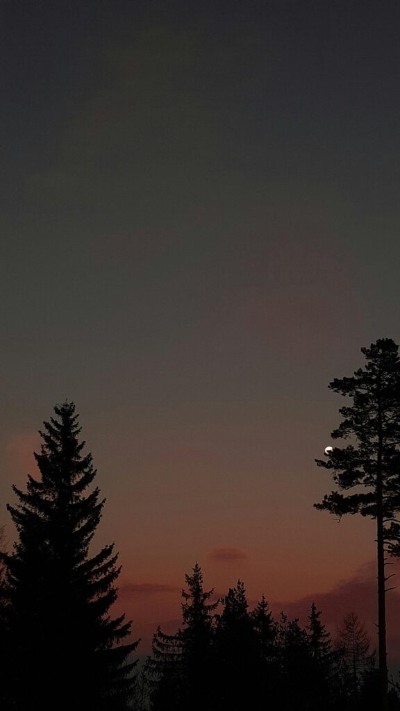 Serene Twilight Forest and Crescent Moon Mobile Wallpaper