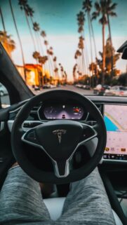 Tesla Model S Interior POV Driving Under Palm Trees Sunset Wallpaper