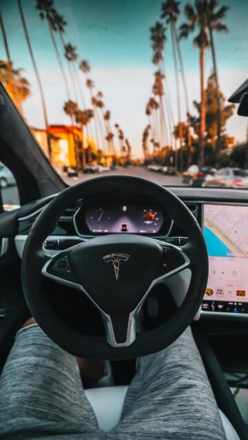 Tesla Model S Interior POV Driving Under Palm Trees Sunset Wallpaper