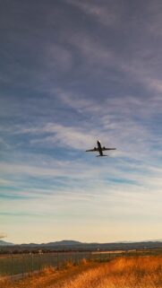 Stunning Airplane Taking Off Over Golden Fields Mobile Wallpaper