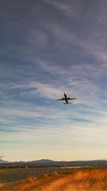 Stunning Airplane Taking Off Over Golden Fields Mobile Wallpaper